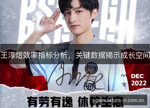 王淳煜效率指标分析，关键数据揭示成长空间